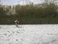 Afbeelding 023